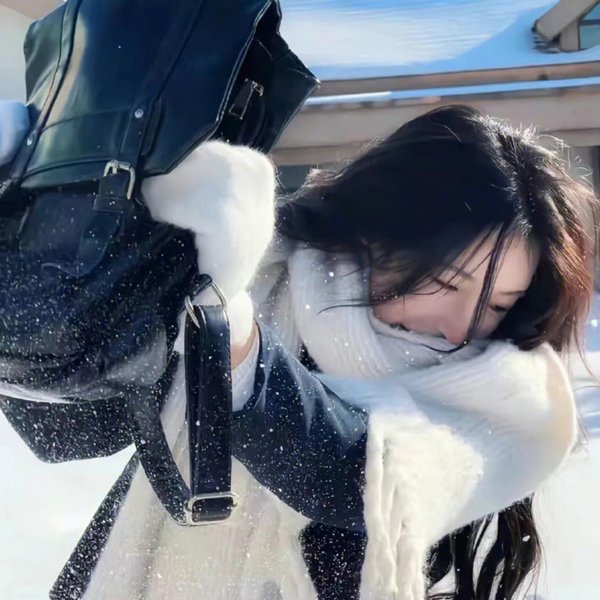 瓦尼塔斯的笔记